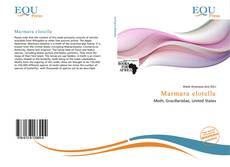 Borítókép a  Marmara elotella - hoz