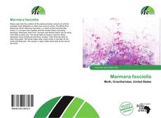 Borítókép a  Marmara fasciella - hoz