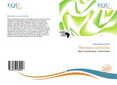 Copertina di Marmara salictella