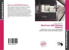 Buchcover von Montrose (METRORail Station)