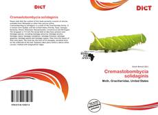 Couverture de Cremastobombycia solidaginis