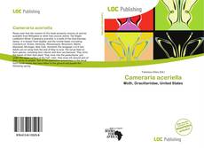 Cameraria aceriella的封面