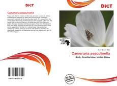 Couverture de Cameraria aesculisella