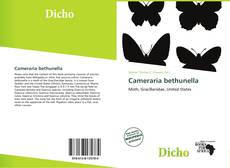 Portada del libro de Cameraria bethunella