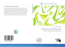 Bookcover of Cameraria chambersella