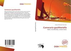 Cameraria gaultheriella的封面