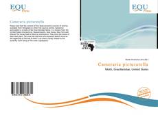 Copertina di Cameraria picturatella