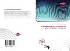 Bookcover of Cameraria platanoidiella