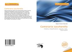 Bookcover of Cameraria saccharella