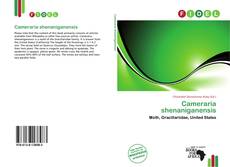 Portada del libro de Cameraria shenaniganensis