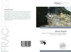 Copertina di Mount Rinjani