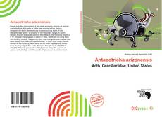 Antaeotricha arizonensis的封面