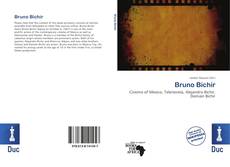 Bruno Bichir kitap kapağı