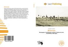 Borítókép a  Brionnais - hoz