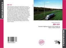 Buchcover von BR-101