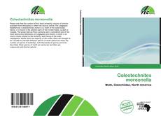 Couverture de Coleotechnites moreonella