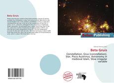 Beta Gruis kitap kapağı