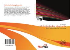Copertina di Coleotechnites gibsonella