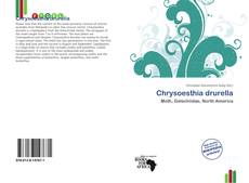 Copertina di Chrysoesthia drurella