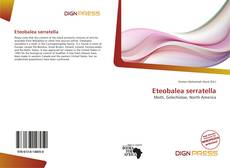 Copertina di Eteobalea serratella