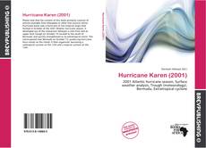 Buchcover von Hurricane Karen (2001)