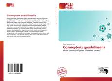 Bookcover of Cosmopterix quadrilineella