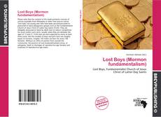 Buchcover von Lost Boys (Mormon fundamentalism)