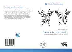 Borítókép a  Cosmopterix clandestinella - hoz