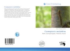 Borítókép a  Cosmopterix molybdina - hoz