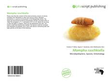 Borítókép a  Mompha raschkiella - hoz