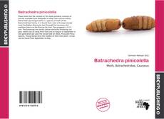 Buchcover von Batrachedra pinicolella