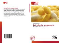 Bookcover of Batrachedra praeangusta