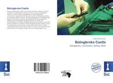 Buchcover von Bolingbroke Castle