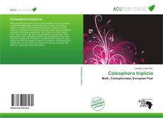 Coleophora triplicis的封面