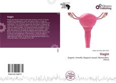 Capa do livro de Vagin 
