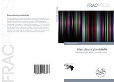 Copertina di Blastobasis glandulella