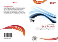 Portada del libro de David Borowich
