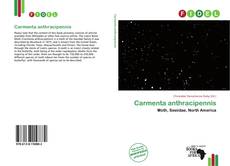 Buchcover von Carmenta anthracipennis