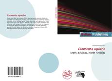 Carmenta apache kitap kapağı