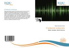 Copertina di Carmenta armasata