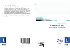 Bookcover of Carmenta tecta