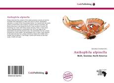 Обложка Anthophila alpinella