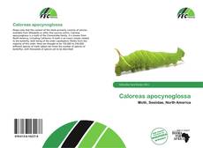 Buchcover von Caloreas apocynoglossa