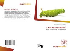 Copertina di Caloreas leucobasis