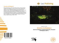 Portada del libro de Amedeo de Belgique