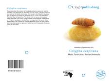 Обложка Celypha cespitana