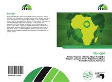 Capa do livro de Bongor 