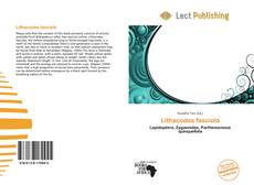 Borítókép a  Lithacodes fasciola - hoz