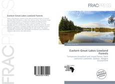 Copertina di Eastern Great Lakes Lowland Forests