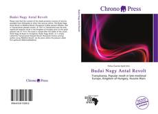 Bookcover of Budai Nagy Antal Revolt